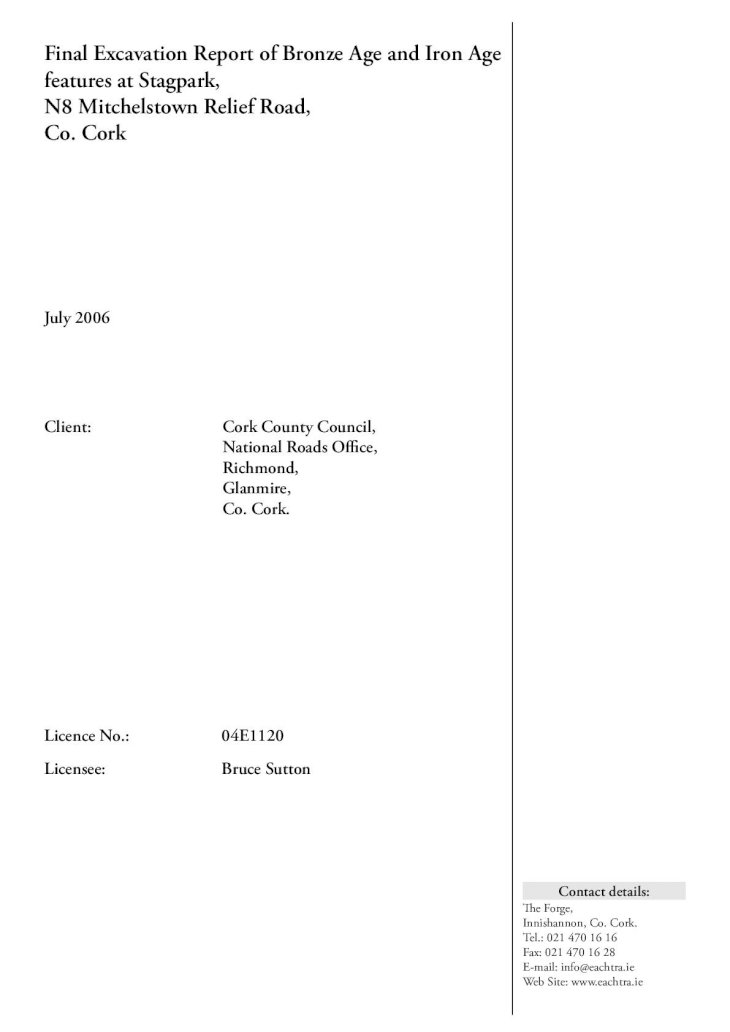cork report 1982 pdf